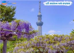 Tour du lịch Nhật Bản 6 ngày Lễ 30-4 (Đặt càng Sớm, giá càng Rẻ)